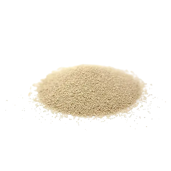 Levadura Seca