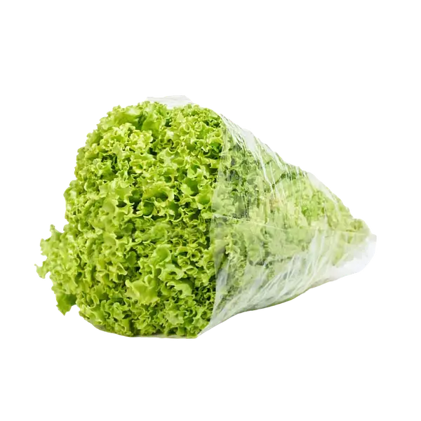 Lechuga Churca
