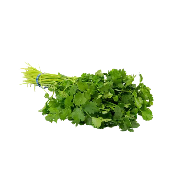Cilantro Manojo