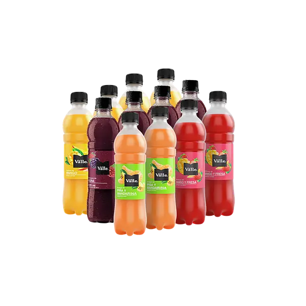 Jugo Frutal Sabores Del Valle