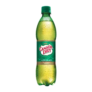 Gaseosa Ginger Canada Dry