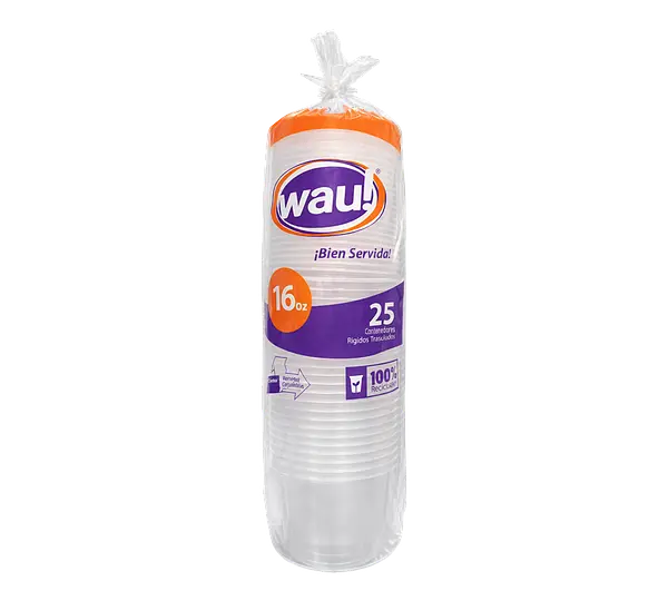 Contenedor Plastico + Tapa Deli Wau